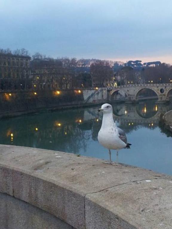 Welcome To Rome B&B ภายนอก รูปภาพ